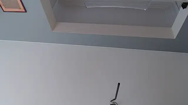 knodli online show from October 21, 11:55 am