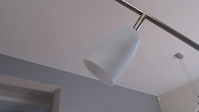 knodli online show from November 8, 7:41 am