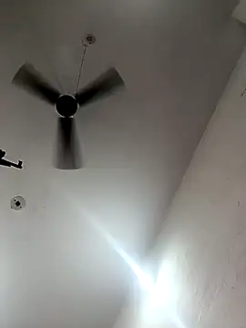 Appypie online show from October 29, 6:04 am