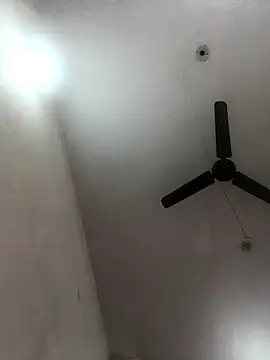 Appypie online show from November 8, 5:51 am