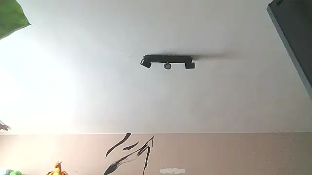   Leyla   online show from January 12, 12:21 pm