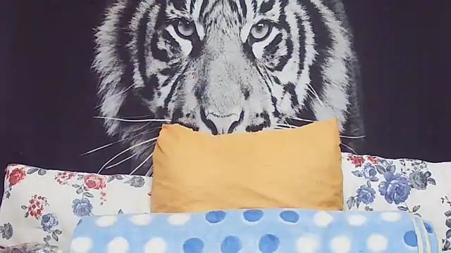 SweetPortableAmber online show from March 17, 11:35 am