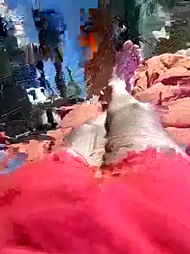 QJHoElyking online show from October 10, 3:27 am