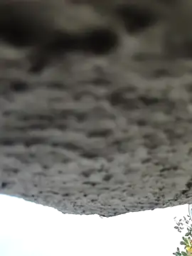 Snapshot of AnanyaKapoor89 chatting on November 9, 2:43 am AnanyaKapoor89 online show from November 9, 2:43 am