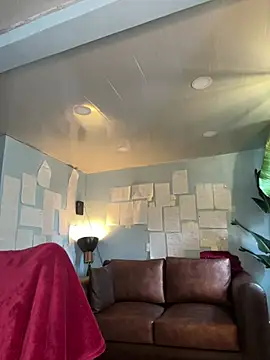 Canneela online show from February 14, 12:46 pm