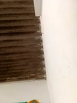 Sapna9685 online show from November 15, 9:06 am