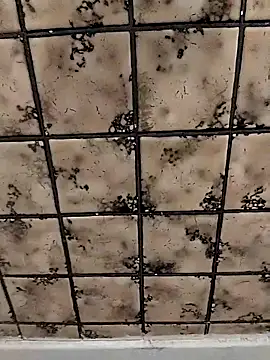 Snapshot of rosembertg chatting on October 2, 1:07 pm rosembertg online show from October 2, 1:07 pm