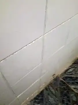 Snapshot of kelvinjesus34 chatting on October 19, 6:36 am kelvinjesus34 online show from October 19, 6:36 am