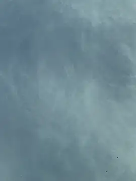 Snapshot of camboys_poyraz chatting on November 18, 1:04 pm camboys poyraz online show from November 18, 1:04 pm