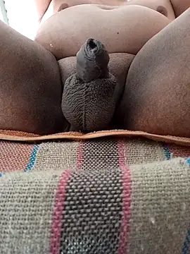 HotsitoTQM online show from December 17, 3:51 pm