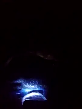 Snapshot of gostoso_delas_2 chatting on September 17, 4:19 pm gostoso delas 2 online show from September 17, 4:19 pm