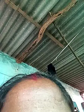 Snapshot of Hot-honi chatting on September 13, 10:48 am Hot-honi online show from September 13, 10:48 am