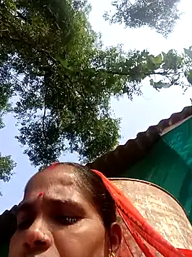 Hot-honi online show from November 6, 4:24 am