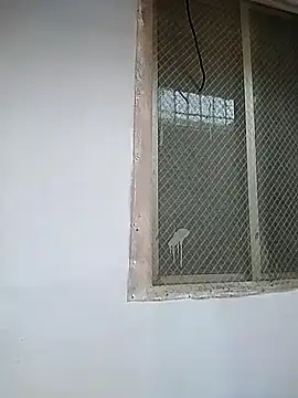 7incpink online show from December 2, 4:18 am