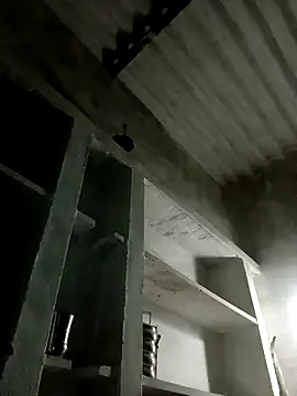 Payal950 online show from November 8, 12:38 pm