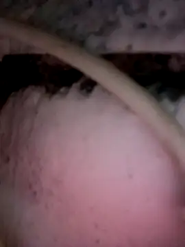 Payal950 online show from December 2, 11:56 pm