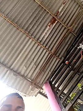 wwwww143 online show from November 21, 5:22 pm