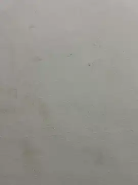 jully-jully online show from September 24, 2:59 am