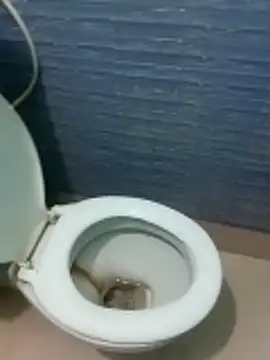 Snapshot of monmohua chatting on November 15, 8:49 pm monmohua online show from November 15, 8:49 pm