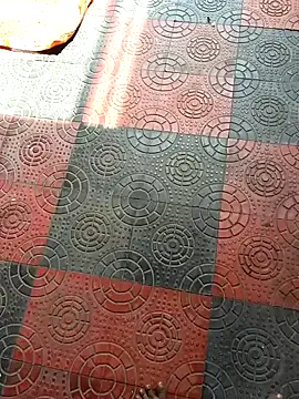 Telugu coupul online show from October 11, 6:01 am