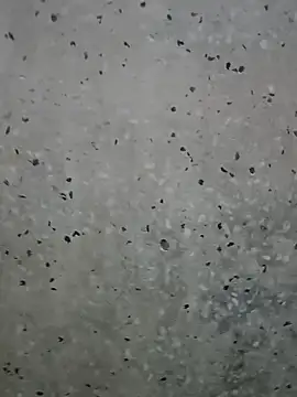 Snapshot of Mr_xxx007@xh chatting on March 1, 1:18 am Mr xxx007xh online show from March 1, 1:18 am