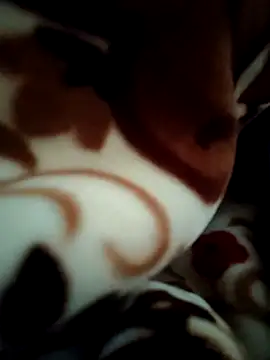 Snapshot of Hot_pooja55 chatting on February 11, 6:51 am Hot pooja55 online show from February 11, 6:51 am