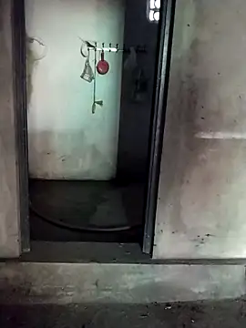 hong-sex online show from November 28, 12:35 am