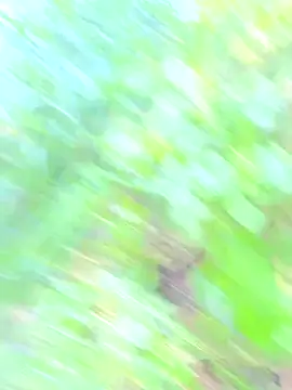 Andy-Alex2002 online show from September 14, 6:45 am