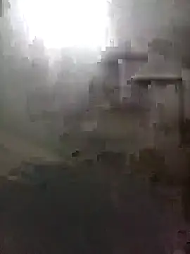 Bebicho14 online show from February 5, 5:56 am