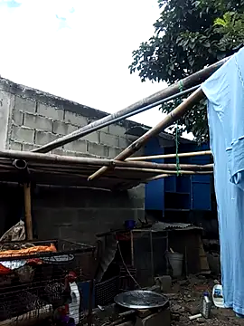 MackMacKenzie online show from December 19, 5:20 pm