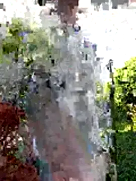 Snapshot of AlphaAlterX chatting on December 20, 12:34 pm AlphaAlterX online show from December 20, 12:34 pm