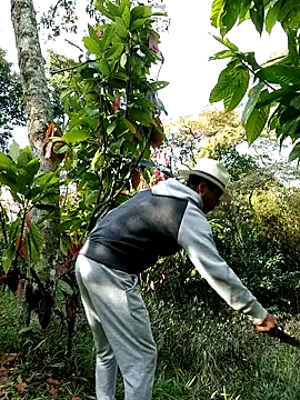 Snapshot of AlphaAlterX chatting on February 28, 1:23 pm AlphaAlterX online show from February 28, 1:23 pm