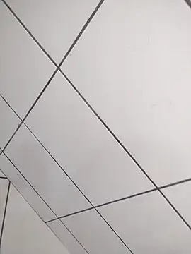 Novin23cms online show from December 19, 4:03 pm