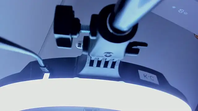 john mystic online show from November 28, 1:30 am