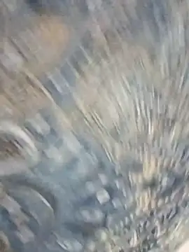 HAANNIAA online show from December 2, 11:04 am