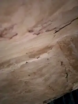 Sexy hot66 online show from September 16, 12:55 am