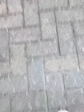 boxerundsocken91 online show from March 9, 5:17 pm