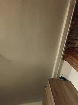 Sakura 2000 online show from January 31, 11:03 pm