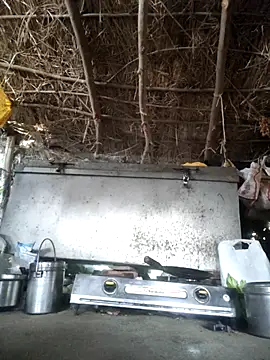 LUCKY cut online show from November 7, 2:22 am