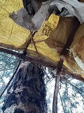 Janvi Jaitly online show from November 23, 1:16 am