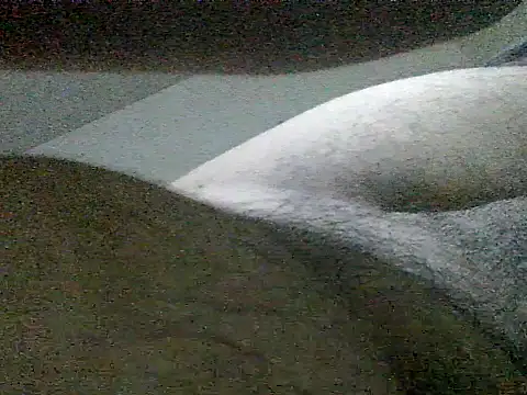 LuispingonX69 online show from May 25, 11:44 pm
