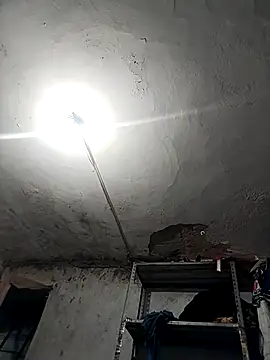 Ferxxxo1503 online show from November 26, 4:24 am