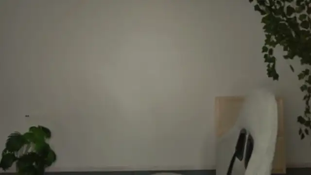 Yoka paradoXXX online show from November 6, 5:08 am