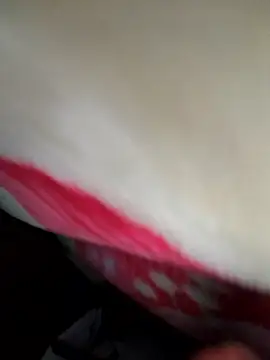 Chanderi19 online show from April 15, 11:49 pm