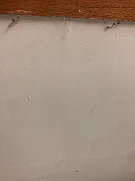 99-JOJO online show from November 20, 10:26 am