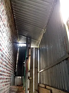 SSexykute3456 online show from November 27, 6:59 am