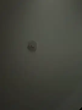 Andrestarr online show from April 2, 2:04 pm