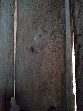 bonnie-00 online show from October 29, 11:28 pm