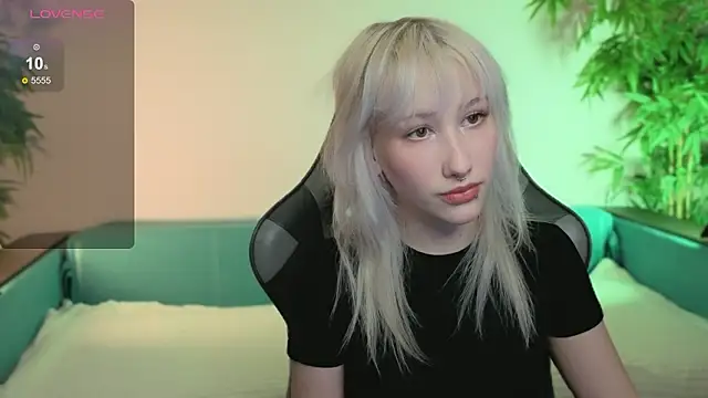 evlica online show from February 17, 2:24 pm