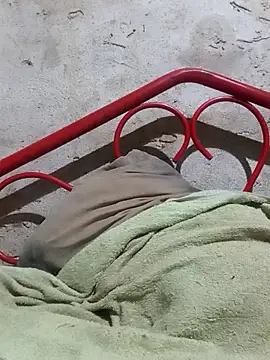 Snapshot of carluis2 chatting on November 9, 1:09 pm carluis2 online show from November 9, 1:09 pm